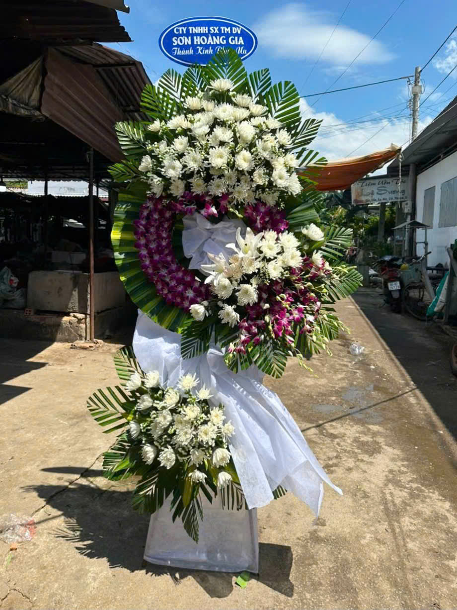 Chậu Lan Hồ Điệp Đột Phá Hướng Dương (Phối Màu)