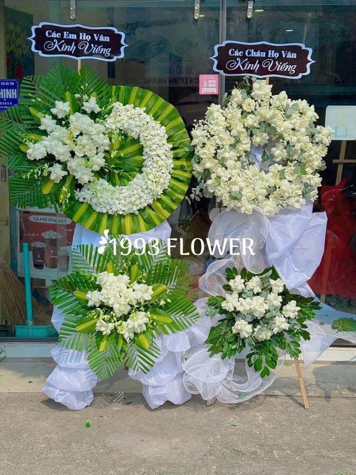 Chậu Lan Hồ Điệp Vàng Hoàng Kim 10 Cành