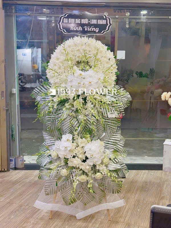 Bí quyết chăm sóc Lan Hồ Điệp tươi lâu trên 2 tháng